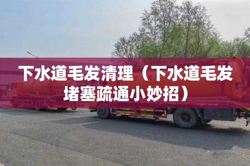 下水道毛发清理（下水道毛发堵塞疏通小妙招）
