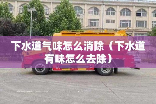 下水道气味怎么消除（下水道有味怎么去除）