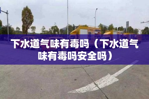下水道气味有毒吗（下水道气味有毒吗安全吗）