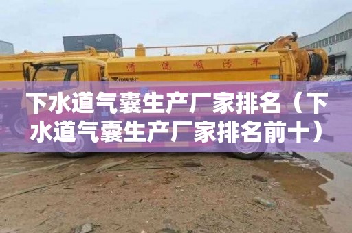 下水道气囊生产厂家排名（下水道气囊生产厂家排名前十）