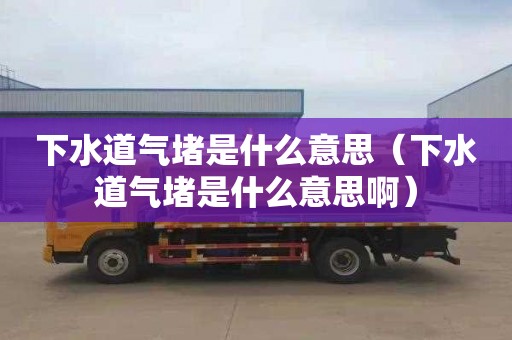 下水道气堵是什么意思（下水道气堵是什么意思啊）