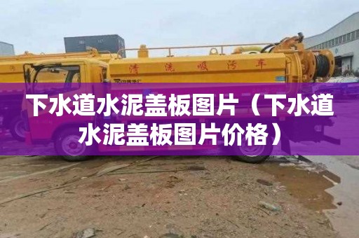 下水道水泥盖板图片（下水道水泥盖板图片价格）