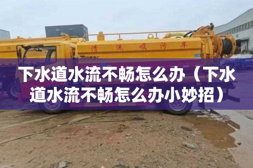 下水道水流不畅怎么办（下水道水流不畅怎么办小妙招）