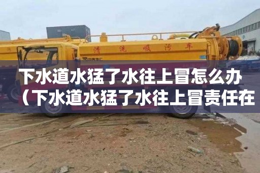 下水道水猛了水往上冒怎么办（下水道水猛了水往上冒责任在谁）