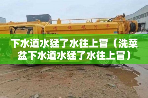 下水道水猛了水往上冒（洗菜盆下水道水猛了水往上冒）
