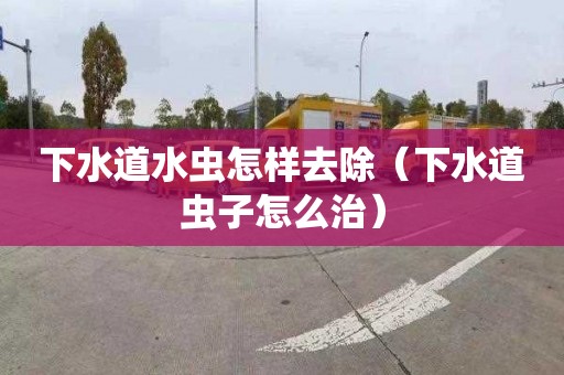 下水道水虫怎样去除（下水道虫子怎么治）