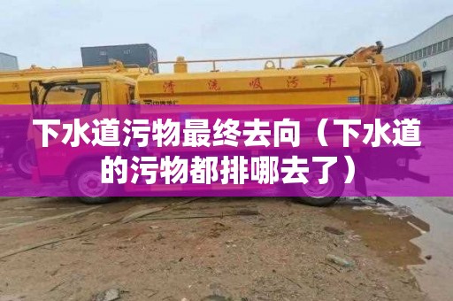 下水道污物最终去向（下水道的污物都排哪去了）