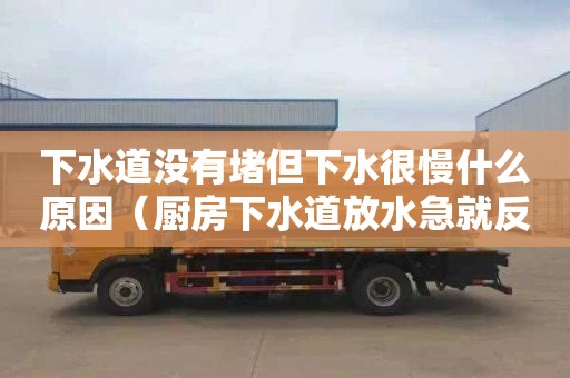 下水道没有堵但下水很慢什么原因（厨房下水道放水急就反水）