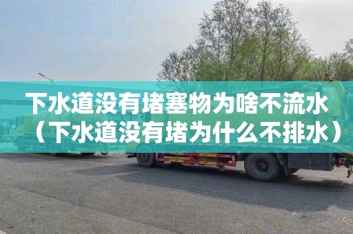 下水道没有堵塞物为啥不流水（下水道没有堵为什么不排水）