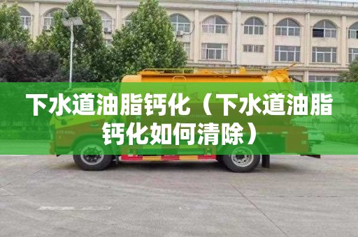 下水道油脂钙化（下水道油脂钙化如何清除）