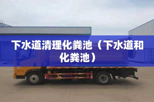下水道清理化粪池（下水道和化粪池）