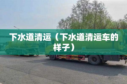 下水道清运（下水道清运车的样子）