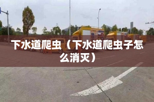下水道爬虫（下水道爬虫子怎么消灭）