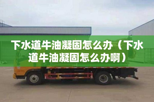 下水道牛油凝固怎么办（下水道牛油凝固怎么办啊）