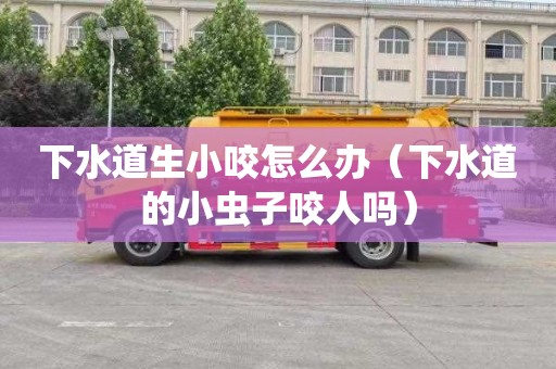 下水道生小咬怎么办（下水道的小虫子咬人吗）