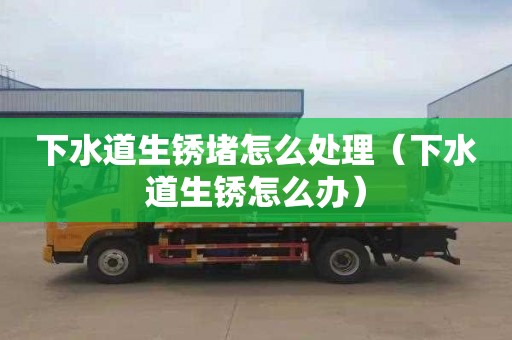 下水道生锈堵怎么处理（下水道生锈怎么办）
