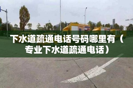 下水道疏通电话号码哪里有（专业下水道疏通电话）