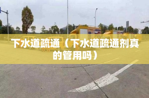 下水道疏通（下水道疏通剂真的管用吗）