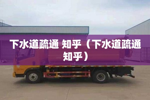 下水道疏通 知乎（下水道疏通知乎）