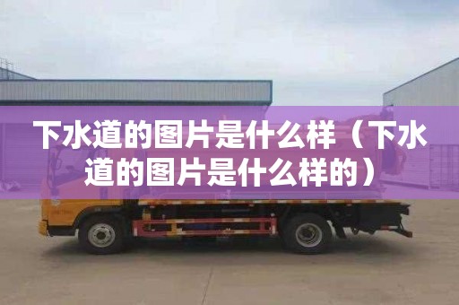 下水道的图片是什么样（下水道的图片是什么样的）