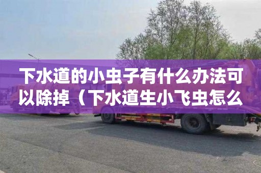 下水道的小虫子有什么办法可以除掉（下水道生小飞虫怎么除掉）
