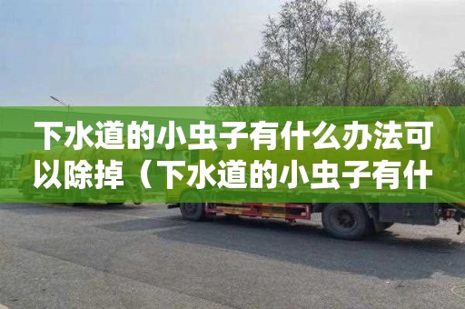 下水道的小虫子有什么办法可以除掉（下水道的小虫子有什么办法可以除掉吗）