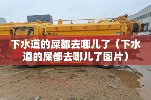 下水道的屎都去哪儿了（下水道的屎都去哪儿了图片）