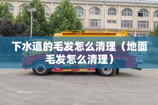 下水道的毛发怎么清理（地面毛发怎么清理）