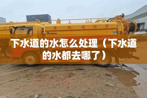 下水道的水怎么处理（下水道的水都去哪了）