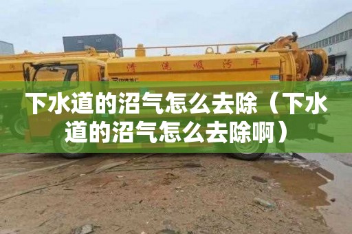 下水道的沼气怎么去除（下水道的沼气怎么去除啊）