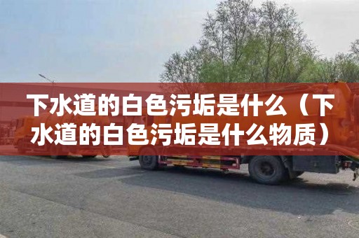 下水道的白色污垢是什么（下水道的白色污垢是什么物质）