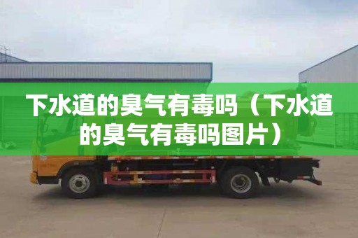下水道的臭气有毒吗（下水道的臭气有毒吗图片）
