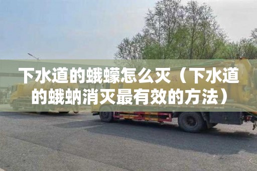 下水道的蛾蠓怎么灭（下水道的蛾蚋消灭最有效的方法）