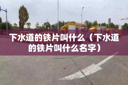 下水道的铁片叫什么（下水道的铁片叫什么名字）
