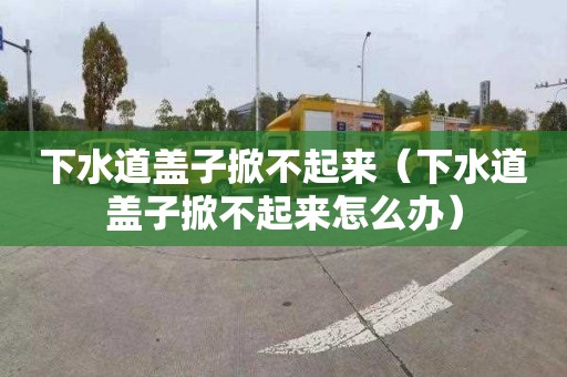 下水道盖子掀不起来（下水道盖子掀不起来怎么办）