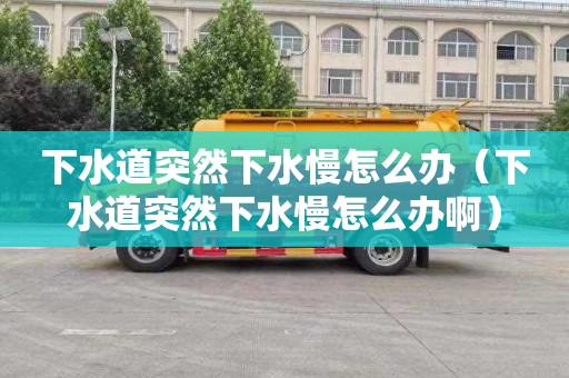 下水道突然下水慢怎么办（下水道突然下水慢怎么办啊）