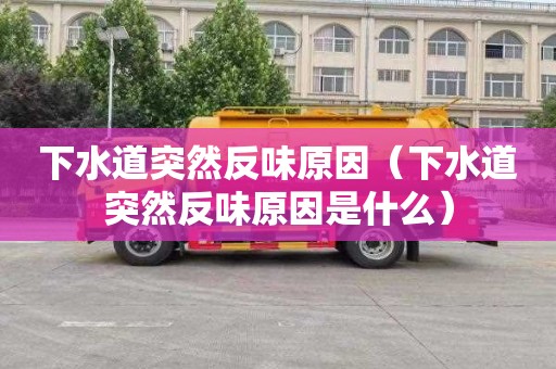 下水道突然反味原因（下水道突然反味原因是什么）