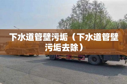 下水道管壁污垢（下水道管壁污垢去除）