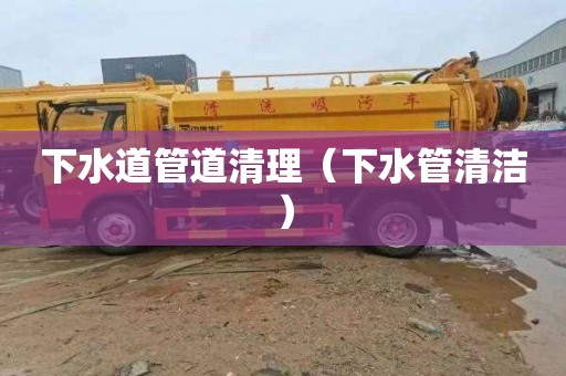 下水道管道清理（下水管清洁）