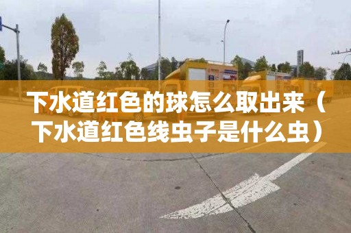 下水道红色的球怎么取出来（下水道红色线虫子是什么虫）