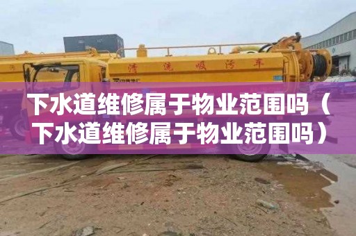 下水道维修属于物业范围吗（下水道维修属于物业范围吗）