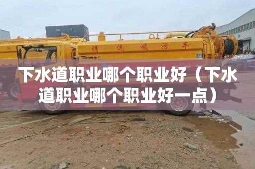 下水道职业哪个职业好（下水道职业哪个职业好一点）