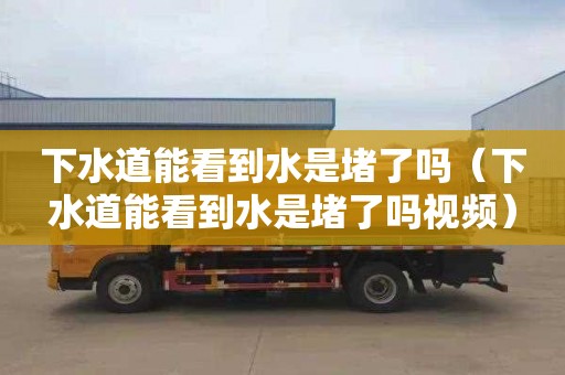下水道能看到水是堵了吗（下水道能看到水是堵了吗视频）