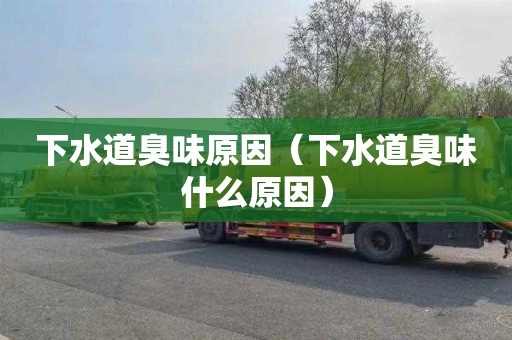 下水道臭味原因（下水道臭味什么原因）