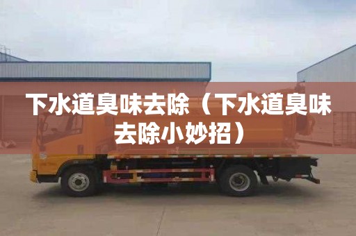 下水道臭味去除（下水道臭味去除小妙招）