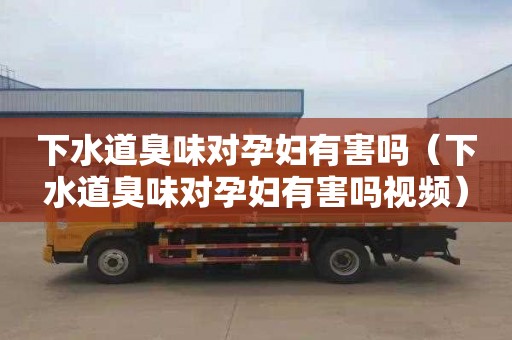 下水道臭味对孕妇有害吗（下水道臭味对孕妇有害吗视频）