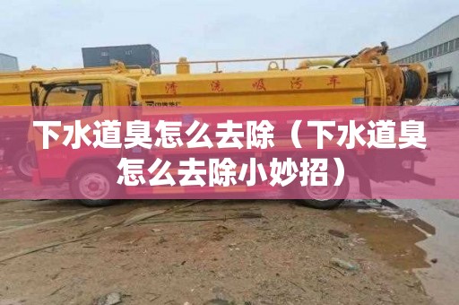 下水道臭怎么去除（下水道臭怎么去除小妙招）