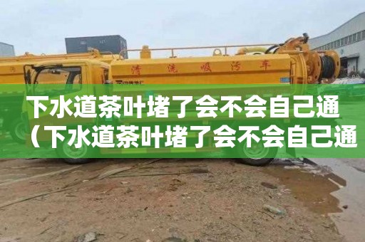 下水道茶叶堵了会不会自己通（下水道茶叶堵了会不会自己通开）