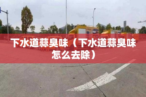 下水道蒜臭味（下水道蒜臭味怎么去除）