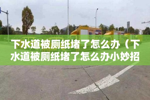 下水道被厕纸堵了怎么办（下水道被厕纸堵了怎么办小妙招）